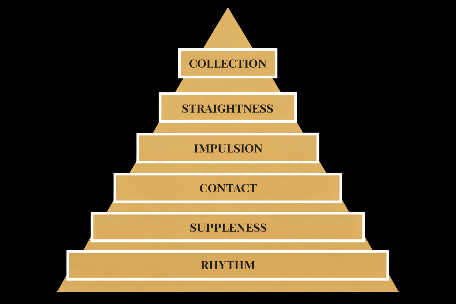 Training scale